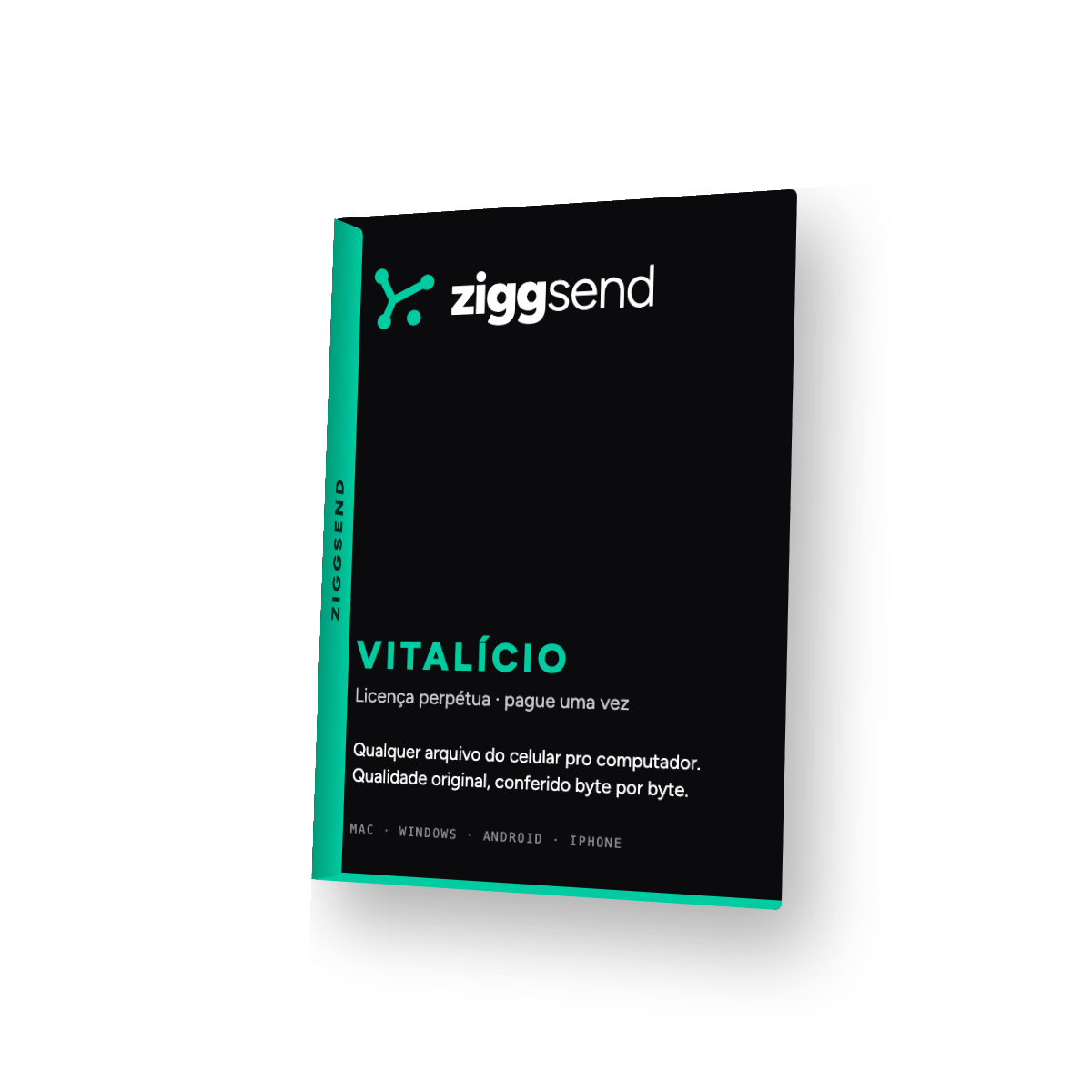 ZiggSend Pro vitalício Fundador