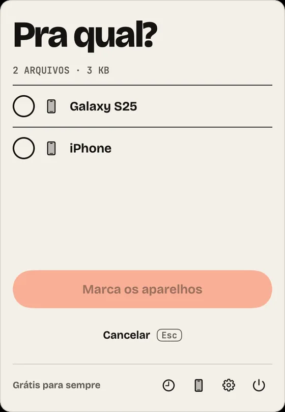 Passo 5: Vários celulares. Com dois ou mais celulares, o painel pergunta “Pra qual?”. Marque e mande.